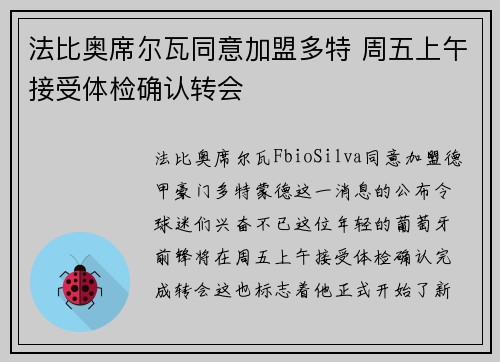 法比奥席尔瓦同意加盟多特 周五上午接受体检确认转会